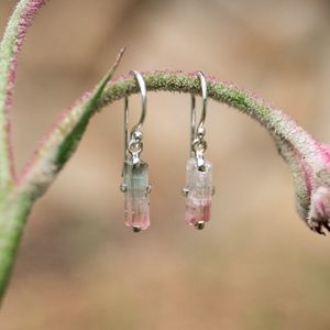 Lipstick Tourmaline Drop Earrings